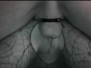 Fucking thy Neighbor