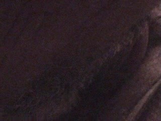 Eating girlfriends pussy