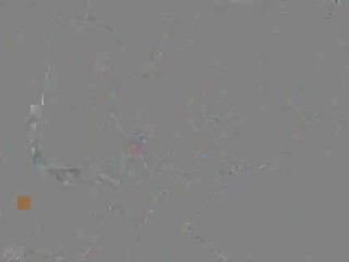 Blass und schluck du Sau