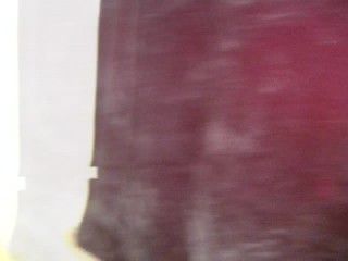 Chocolate Honey sucks a loooong skinny pole