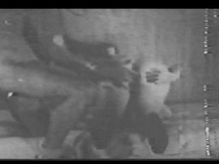 Movies from the archives 6